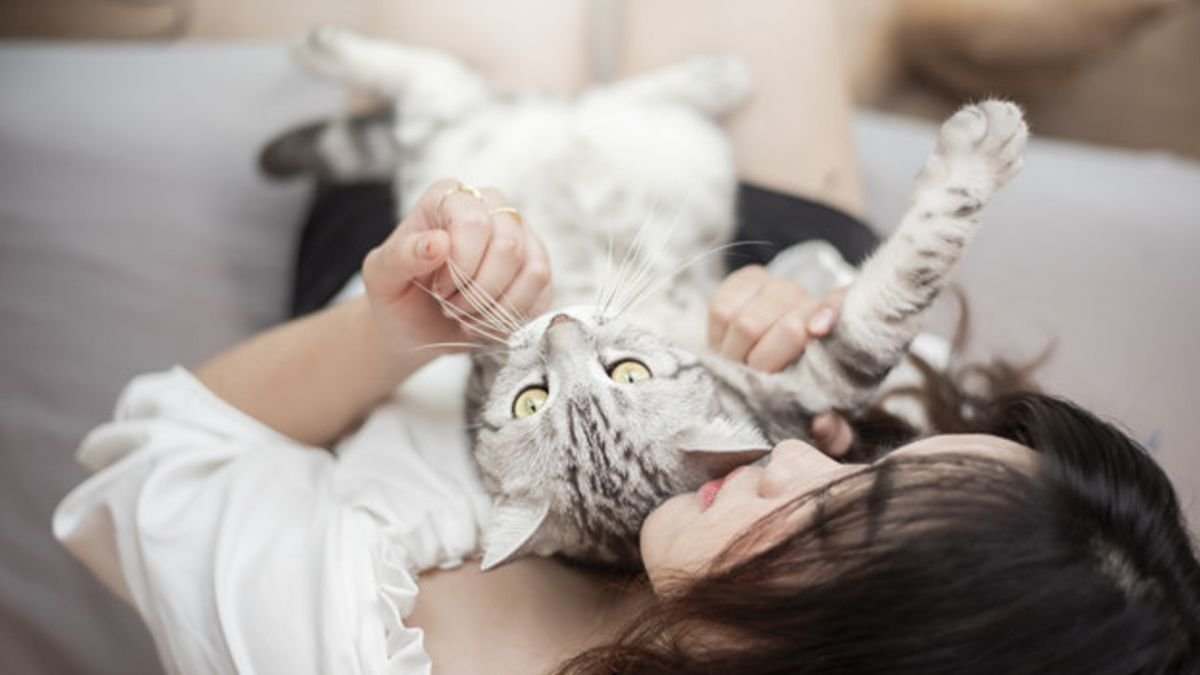 Sumber Toksoplasma Selain dari Kotoran Hewan Peliharaan